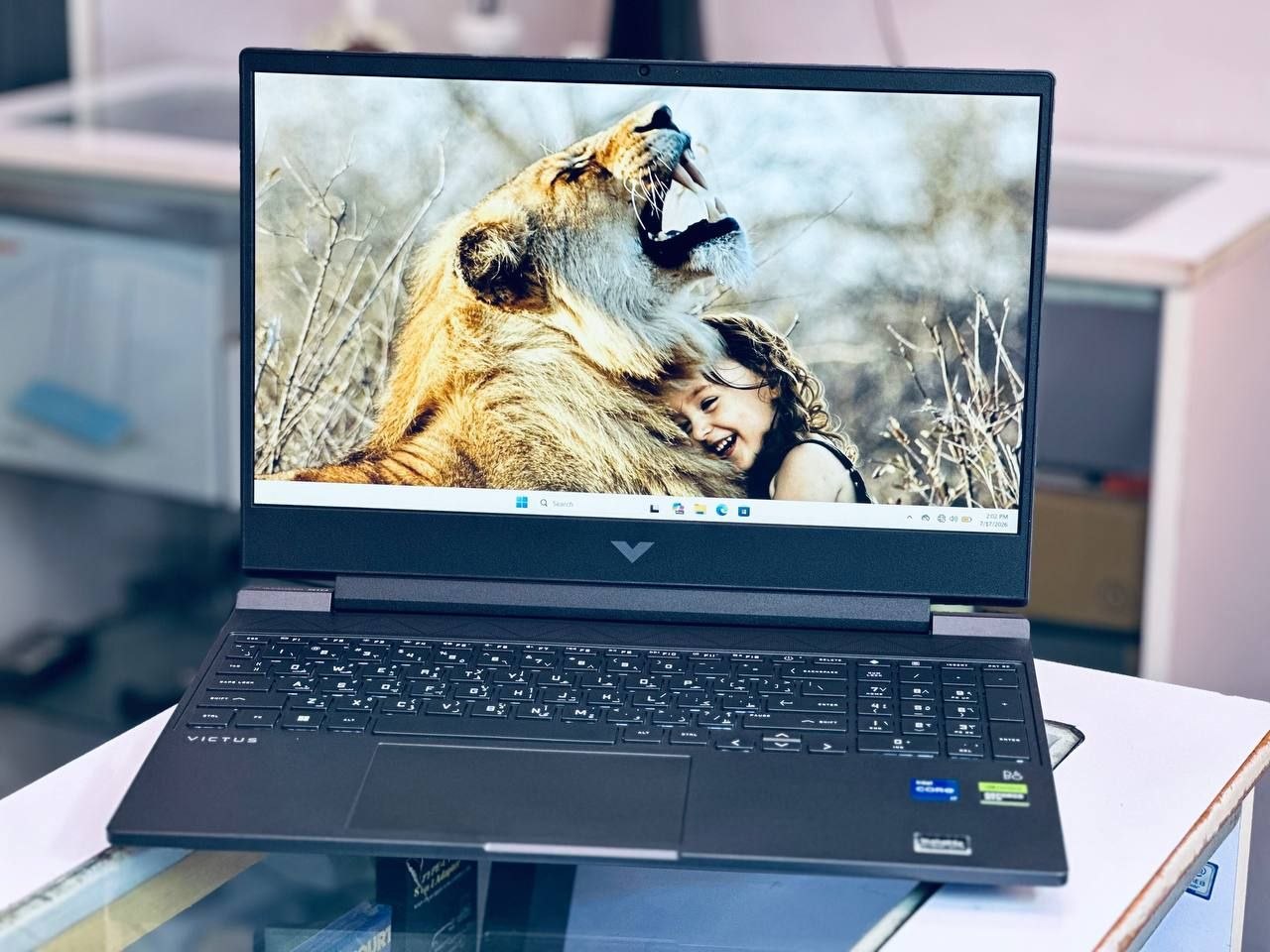 HP VICTUS  13th GEN 16 INCH