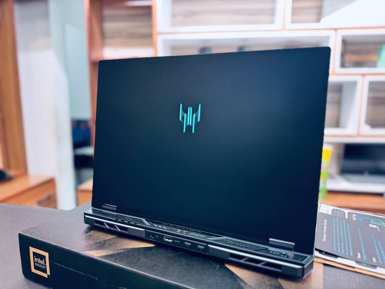 Acer predator,Back side view
